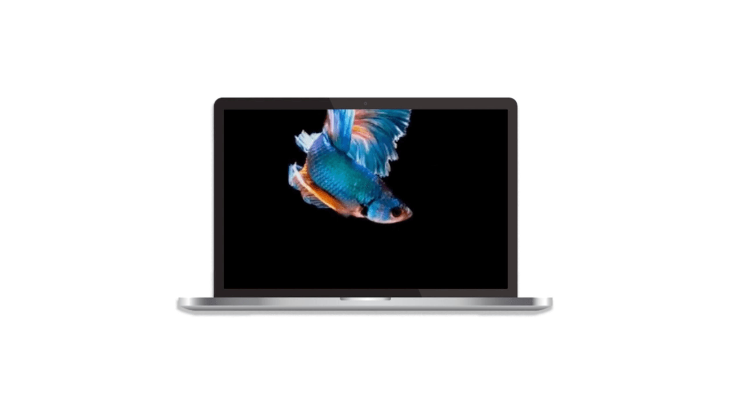 REALZ online motion preview